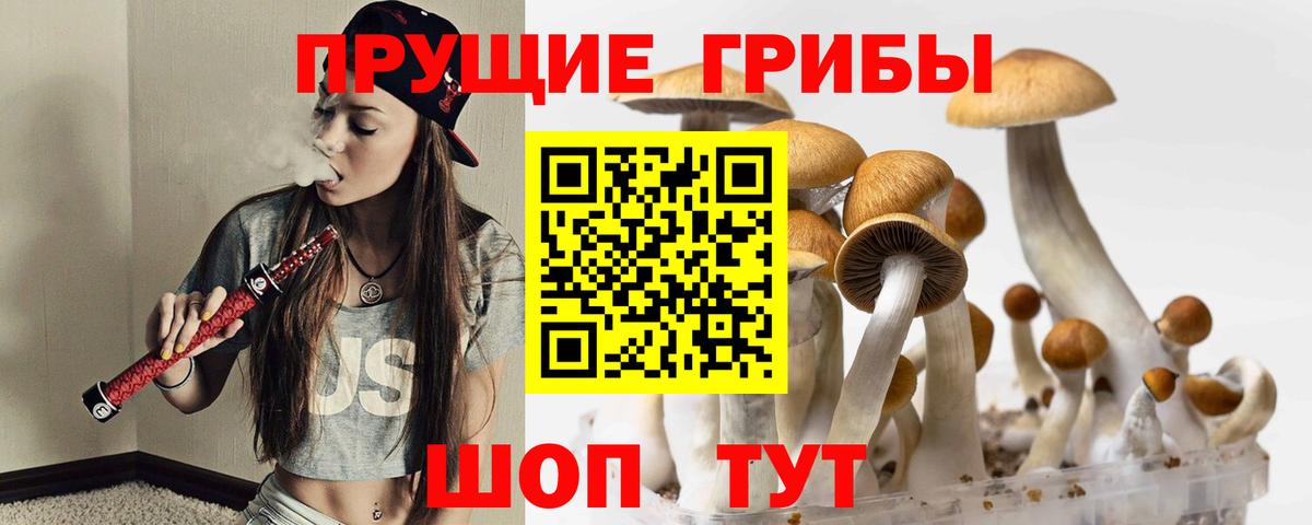Галлюциногенные грибы мицелий  Галлюциногенные грибы MAGIC MUSHROOMS  Вход с VPN  Шадринск 